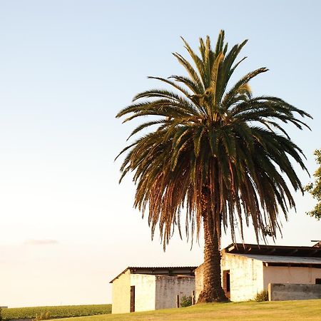 Dirtopia Trail Lodge Stellenbosch Exterior photo