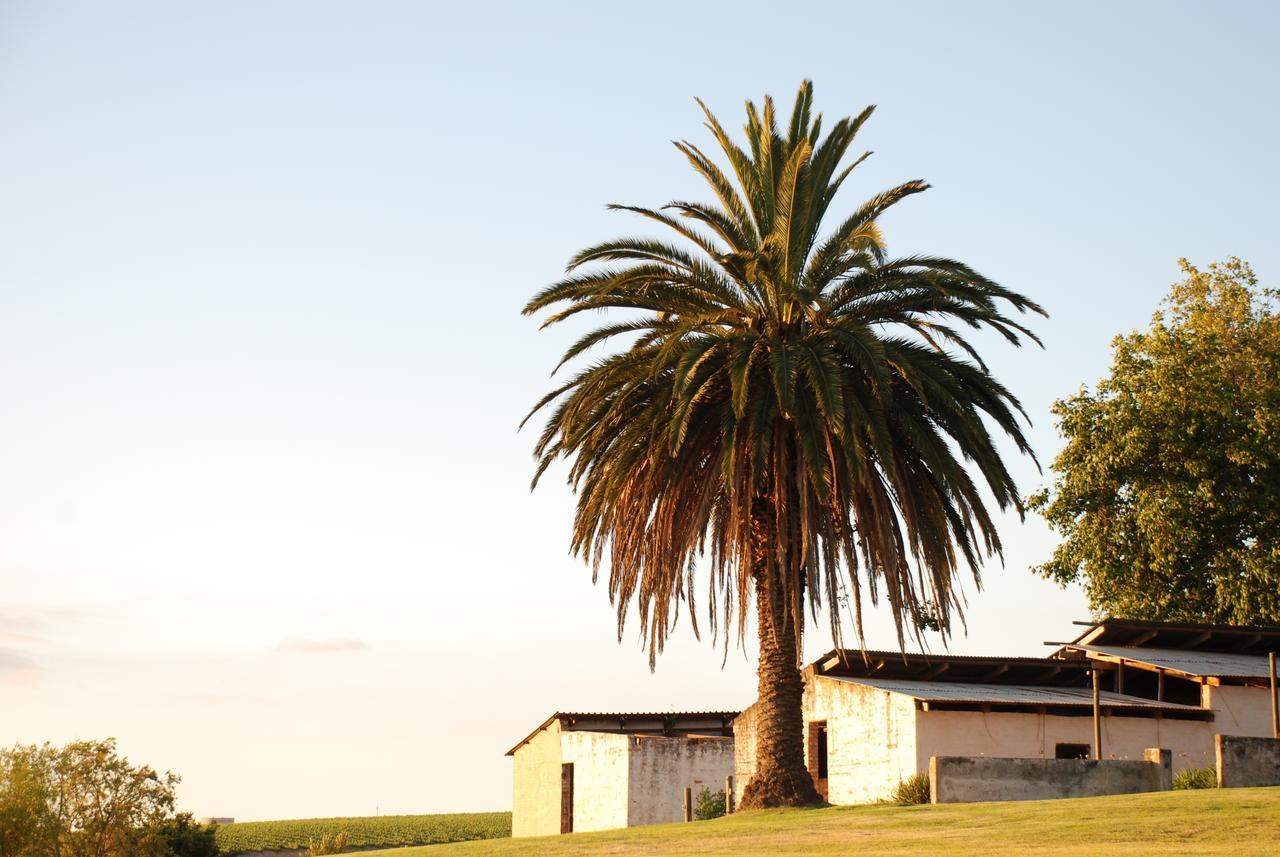 Dirtopia Trail Lodge Stellenbosch Exterior photo